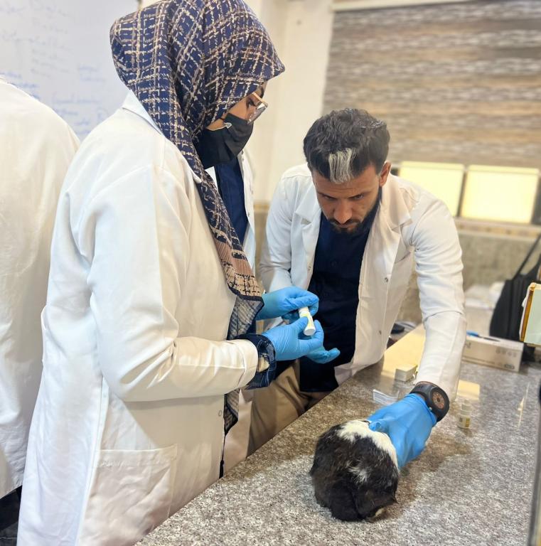 طلبة كلية الصيدلة في جامعة أهل البيت (ع) يجرون تجربة عملية حول تأثير الأدوية على حدقة العين